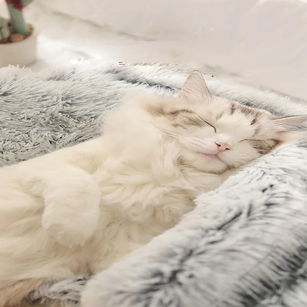 Round Plush Hooded Cats or Small Dogs Bed