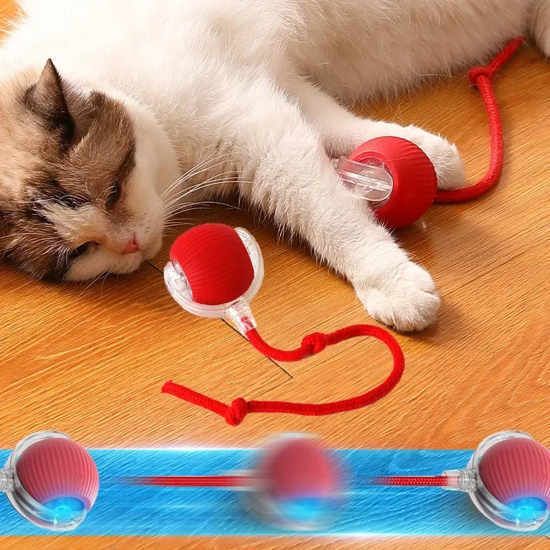 Automatic Rolling Electric Cat Toy Ball