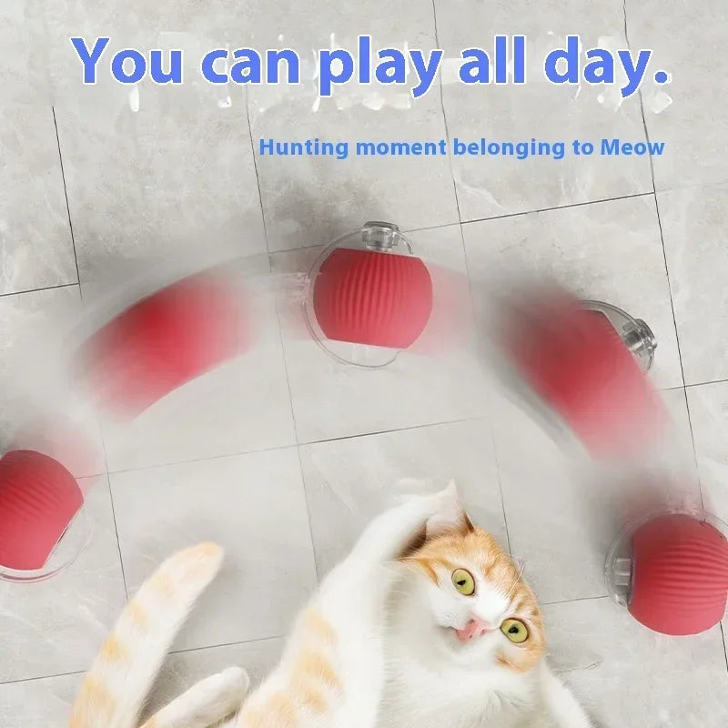 Automatic Rolling Electric Cat Toy Ball