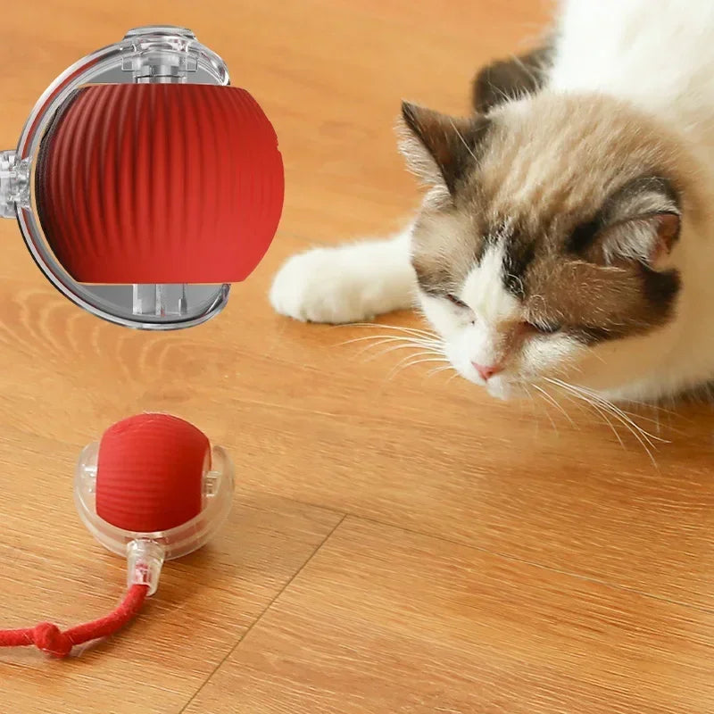 Automatic Rolling Electric Cat Toy Ball
