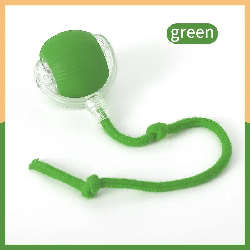 Automatic Rolling Electric Cat Toy Ball