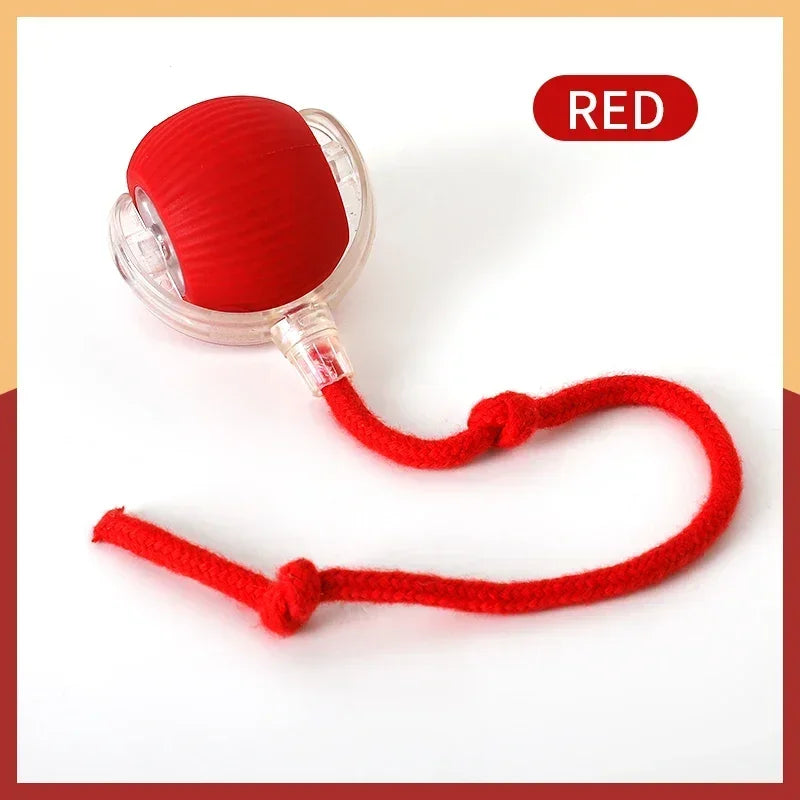 Automatic Rolling Electric Cat Toy Ball